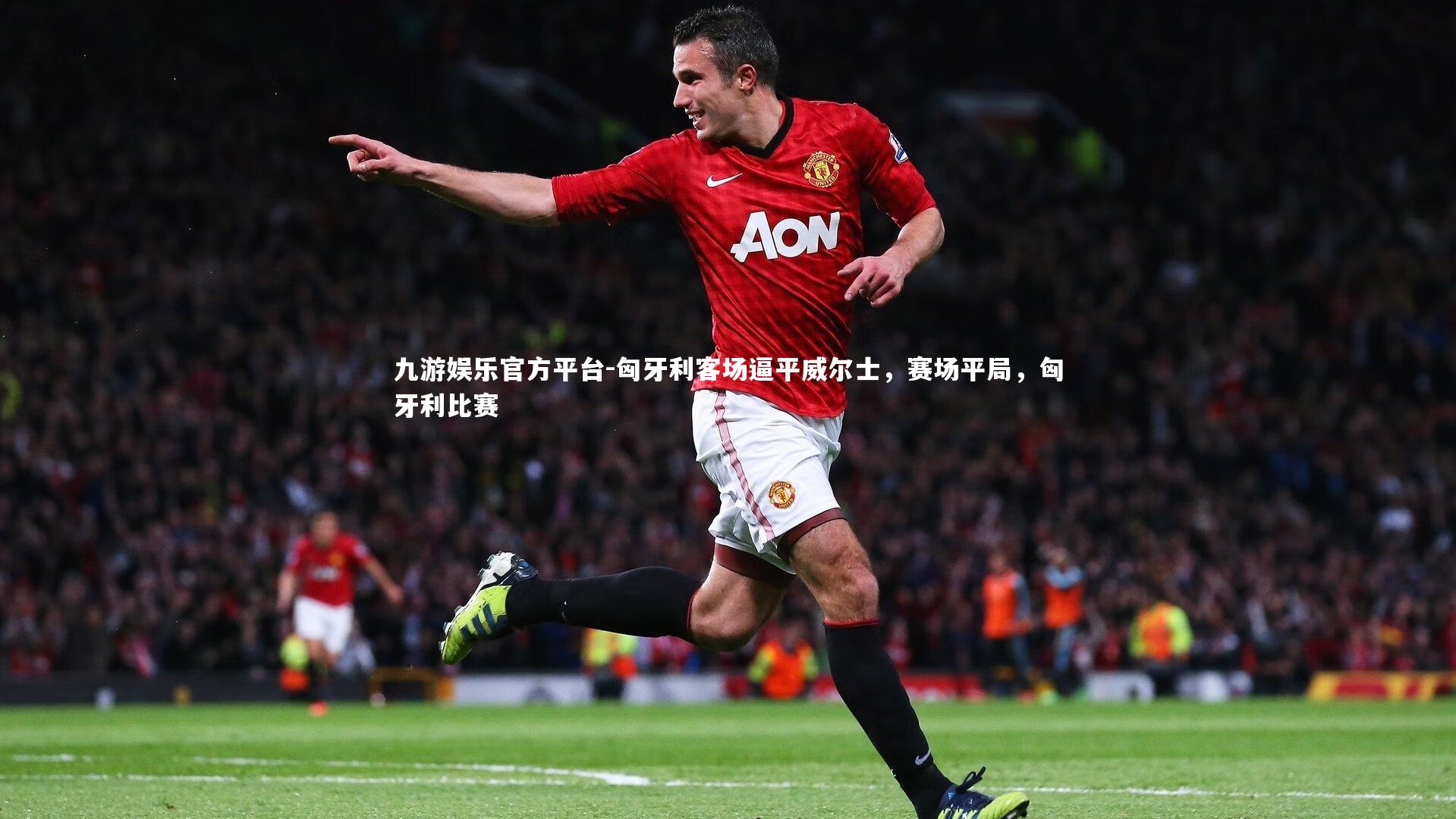 匈牙利客场逼平威尔士，赛场平局，匈牙利比赛